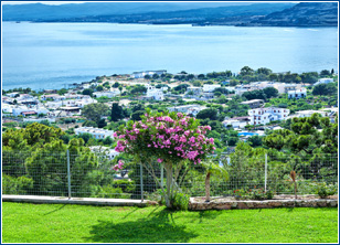 Dimitris Studios Pefkos - View