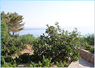 View from George Studios, Pefkos