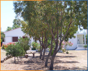 Villa to Rent
