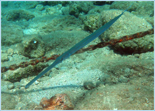 Lepia Dive Centre, Pefkos - Diving Lessons