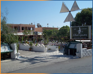 Olive Groves